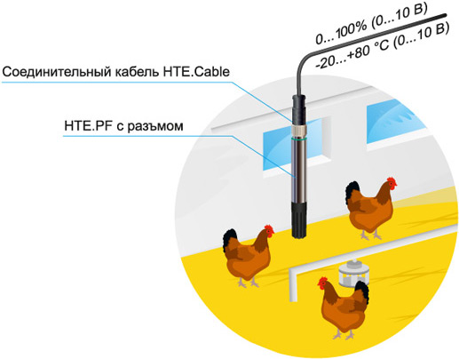 Применение преобразователей HTE.PF для контроля влажности и температуры в животноводческих помещениях